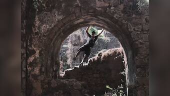 Watch: Cyrus Khan talks about Parkour, jumping across walls and why he hates sitting