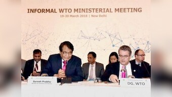 WTO mini-ministerial: Beyond small gains in New Delhi, the question on trade body’s relevance remains