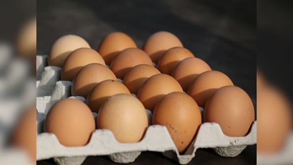 Eggs consumed from poorly maintained Indian poultry farms are more of a health scare than part of healthy diet
