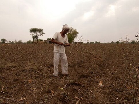 Maharashtra: 91 farmers from Buldhana seek permission for euthanasia over inadequate remuneration Maharashtra: 91 farmers from Buldhana seek permission for euthanasia over inadequate remuneration
