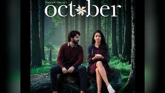 October box office collection: Varun Dhawan-starrer records substantial growth on day two, mints Rs 7 crore