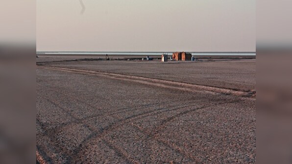In Little Rann, a life lived on the margins highlights need to strike a balance in man vs wild conflict
