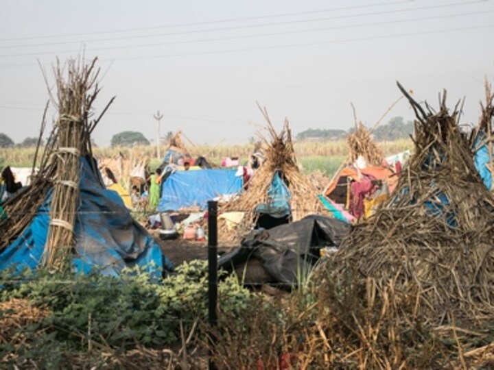 In Maharashtra, children of migrant sugarcane field workers are forced to skip half their classes every year