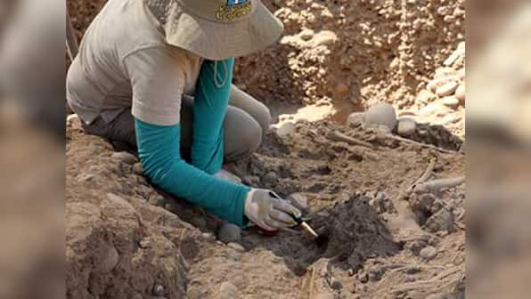 Archaeologists in Peru find remains of over 140 youngsters, claim it is site of 'world's biggest child sacrifice'