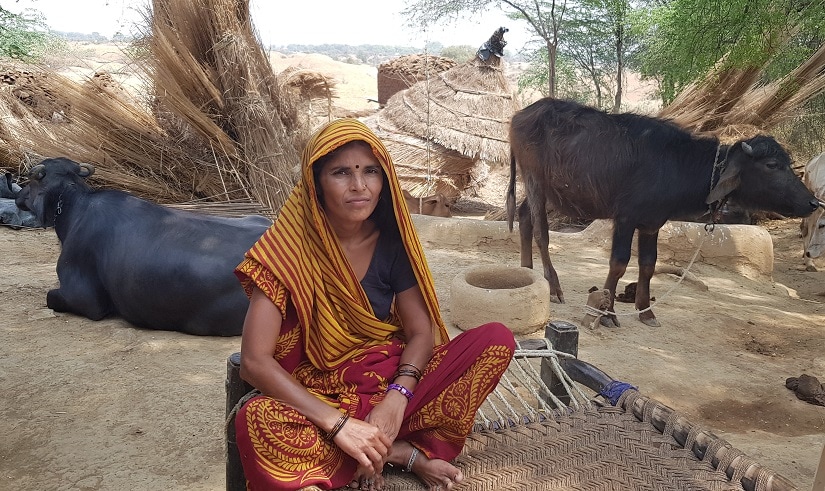 Badami Devi, who was elected as a sarpanch in her panchayat which has always lived under upper caste domination. Firstpost/Tufail Ahmad