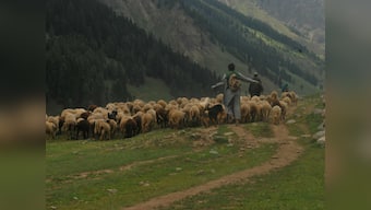 Neither Jammu, nor Kashmir: Bakarwals who’ve come into focus after the Kathua rape case need to be given citizenship