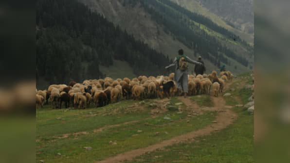 Neither Jammu, nor Kashmir: Bakarwals who’ve come into focus after the Kathua rape case need to be given citizenship