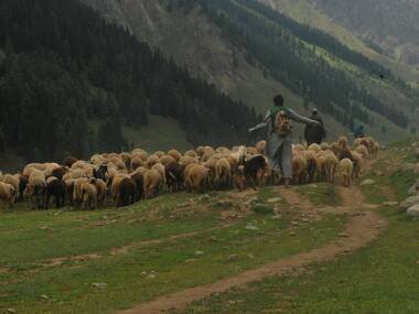 Neither Jammu, nor Kashmir: Bakarwals who’ve come into focus after the Kathua rape case need to be given citizenship