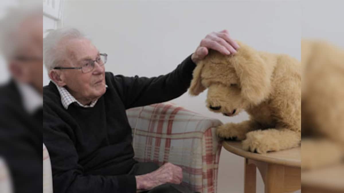 Robotic dog Biscuit lends helping paw to dementia patients in British