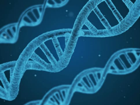 How ancestry DNA testing is helping people better understand their roots, illnesses How ancestry DNA testing is helping people better understand their roots, illnesses