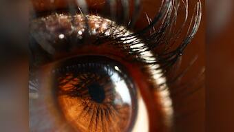 Photography 101: How to use lens reversal to get extreme macro shots