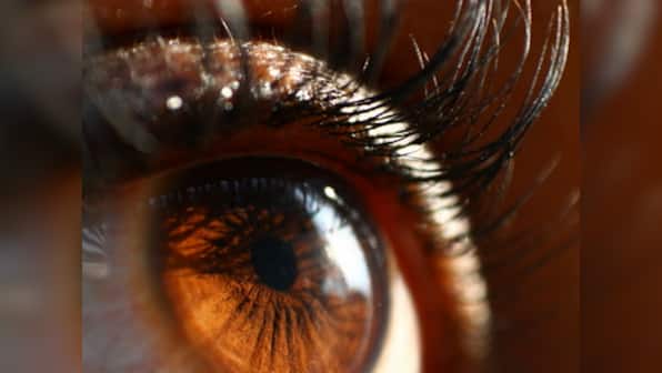 Photography 101: How to use lens reversal to get extreme macro shots