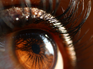 Photography 101: How to use lens reversal to get extreme macro shots ...