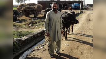 Banking on India: Shell-shocked and penniless; the travails of farming the Pakistan border