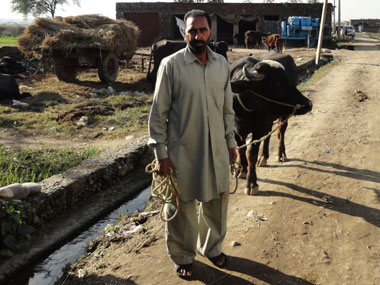 Banking on India: Shell-shocked and penniless; the travails of farming the Pakistan border Banking on India: Shell-shocked and penniless; the travails of farming the Pakistan border