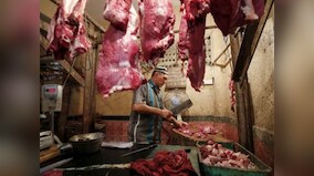 Coronavirus scare cannot keep bats from menu in Indonesia, country's Tomohon Market continues to make money from wild meat