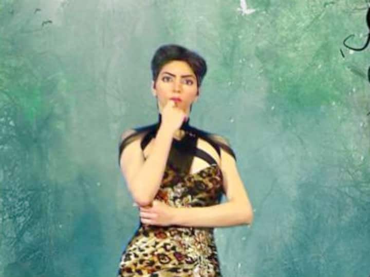 Attack on YouTube HQ in California: Shooter's bizarre videos hint at her anger with video-sharing platform