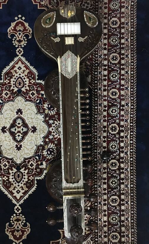 How the world's first female vichitra veena player found the instrument