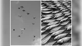 Meanwhile on Instagram: Aishwarya Arumbakkam's photos traverse between dream and reality