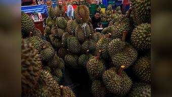 Melbourne university goes into tizzy over rotten durian: 500 people evacuated as fruit's stench mistaken for gas leak