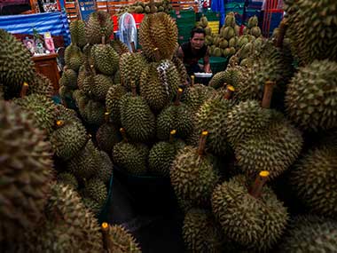 Melbourne university goes into tizzy over rotten durian: 500 people evacuated as fruit's stench mistaken for gas leak Melbourne university goes into tizzy over rotten durian: 500 people evacuated as fruit's stench mistaken for gas leak