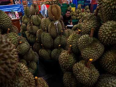 Melbourne university goes into tizzy over rotten durian: 500 people evacuated as fruit's stench mistaken for gas leak