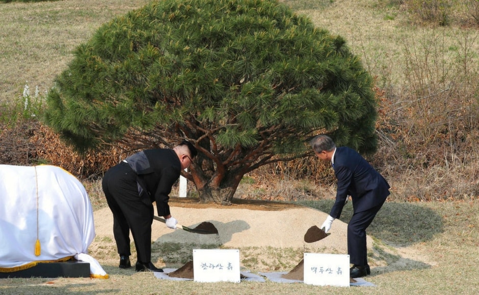 Kim, and Moon planted a pine tree near the military demarcation line at the border village of Panmunjom in the Demilitarised Zone. The pine tree dates to 1953, the year the Korean War ended in an armistice. The soil and water were brought from the Koreas' mountains and rivers. AP Kim, and Moon planted a pine tree near the military demarcation line at the border village of Panmunjom in the Demilitarised Zone. The pine tree dates to 1953, the year the Korean War ended in an armistice. The soil and water were brought from the Koreas' mountains and rivers. AP
