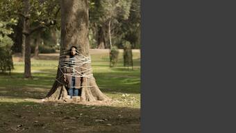 From Lahore Fort to Lawrence Gardens