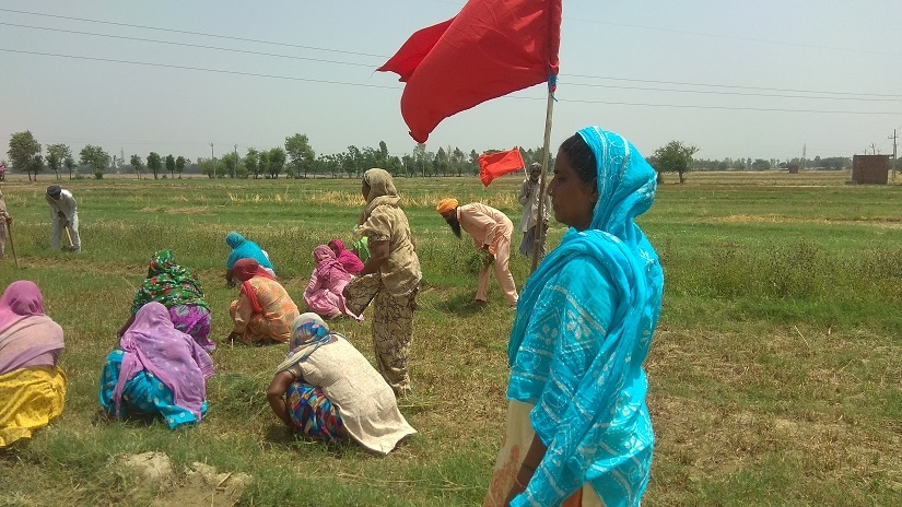 Punjab Village Common Lands Act: States land rights empower Dalit farmers, allow them to lead better lives