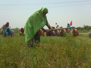 Punjab Village Common Lands Act: State's land rights empower Dalit farmers, allow them to lead better lives Punjab Village Common Lands Act: State's land rights empower Dalit farmers, allow them to lead better lives