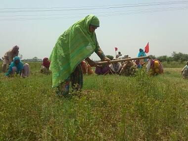 Punjab Village Common Lands Act: State's land rights empower Dalit farmers, allow them to lead better lives