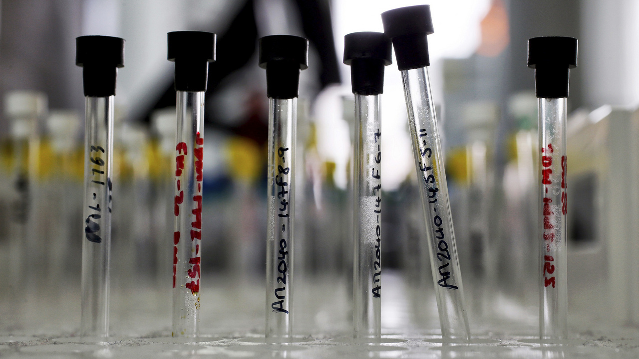 Indian scientists put mathematics to work in treating cancer more effectively Indian scientists put mathematics to work in treating cancer more effectively