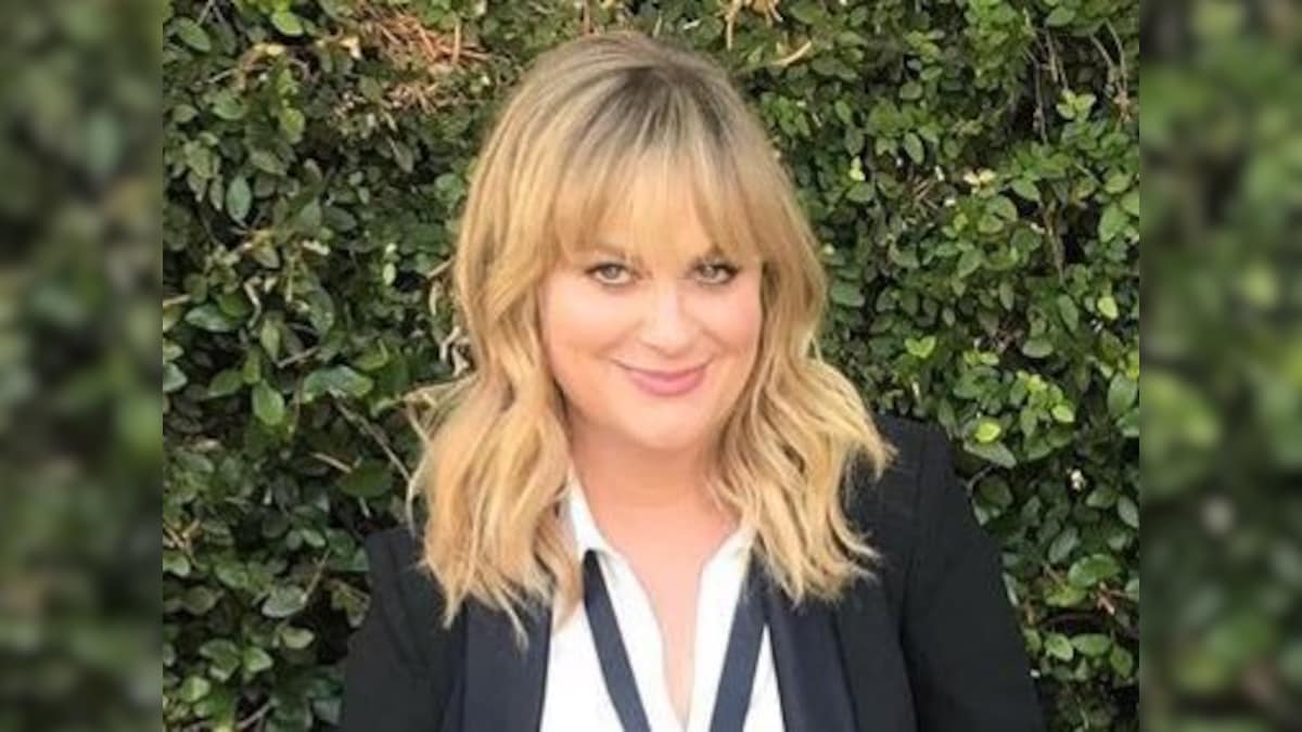 Amy Poehler discusses potential reboot of popular sitcom, Parks and Recreations