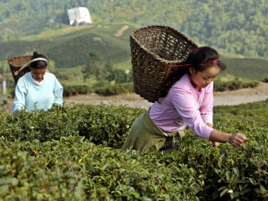 After Centre’s decision to bifurcate J&K, Darjeeling demands same; BJP promised 'permanent political solution', says GJM leader Roshan Giri After Centre’s decision to bifurcate J&K, Darjeeling demands same; BJP promised 'permanent political solution', says GJM leader Roshan Giri