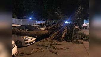 Delhi hit by dust storm, squall; IMD says disruptions due to new western disturbance