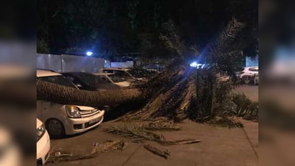 Massive dust storm hits Delhi NCR: One killed, 13 injured and 14 vehicles damaged on Tuesday night