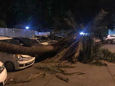 Delhi hit by dust storm, squall; IMD says disruptions due to new western disturbance Delhi hit by dust storm, squall; IMD says disruptions due to new western disturbance