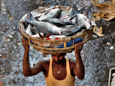Manohar Parrikar bans fish imports in Goa till July end after formalin scare Manohar Parrikar bans fish imports in Goa till July end after formalin scare