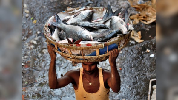 Manohar Parrikar bans fish imports in Goa till July end after formalin scare