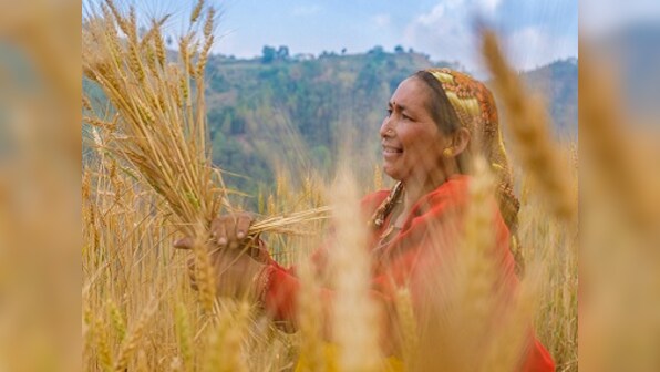 The reDiscovery Project: From Mukteshwar to Ramgarh, traversing Uttarakhand's hilly terrain
