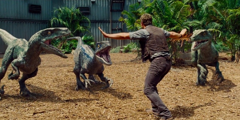 Chris Pratt trains velociraptors in Jurassic World. Image via Twitter