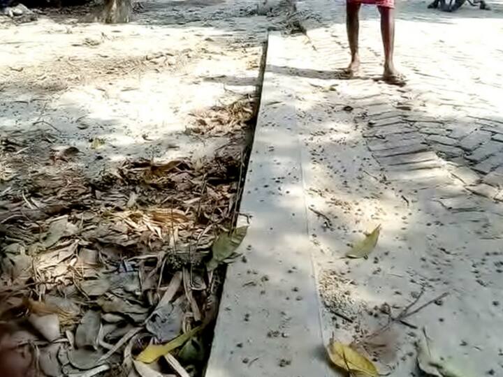 In UP's Sairpur Para village the promise of electricity lies fallen by the wayside In UP's Sairpur Para village the promise of electricity lies fallen by the wayside