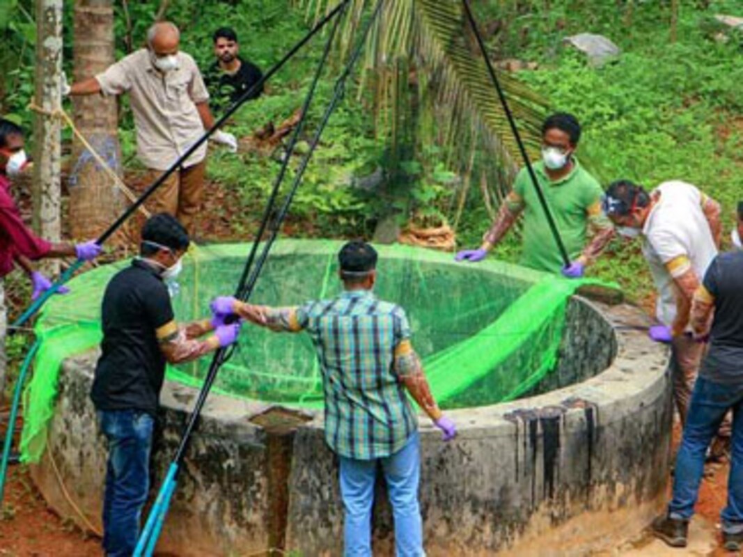 Nipah Virus Kerala Locks Down Sooppikkada Village People Animals Evacuated And Kept Under Observation India News Firstpost