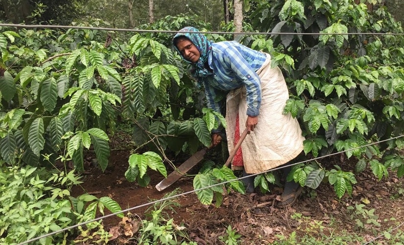 Jayanti, who works in a coffee plantation in Hassan. Firstpost/Parth MN