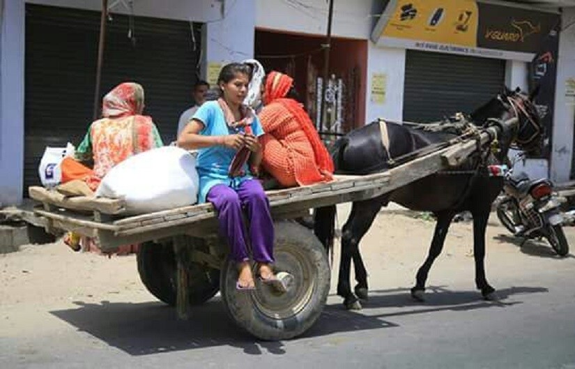 People migrating from border areas. Image courtesy Jamsheed Malik