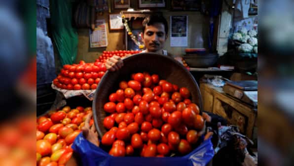 Fuel crisis: Hit by rising transport prices, Maharashtra's farmers would rather let the tomato crop rot in the fields