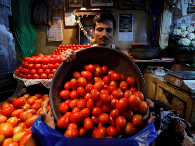Fuel crisis: Hit by rising transport prices, Maharashtra's farmers would rather let the tomato crop rot in the fields Fuel crisis: Hit by rising transport prices, Maharashtra's farmers would rather let the tomato crop rot in the fields