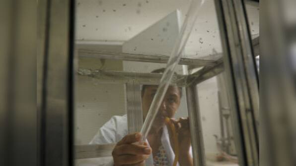 Scientists in India develop a biosensor technique to detect the Chikungunya virus