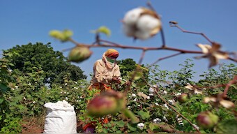 CSE's Study on GM food is flawed and needlessly alarmist, states expert