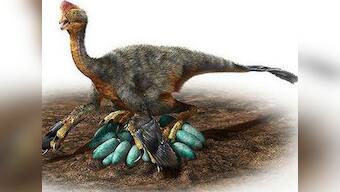 125 million-year-old preserved dandruff reveals how dinosaurs shed their skin